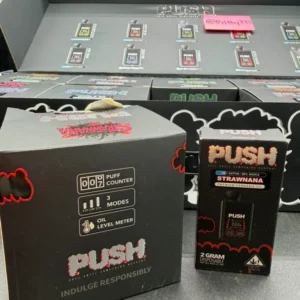 Push 2G Disposable Vape
