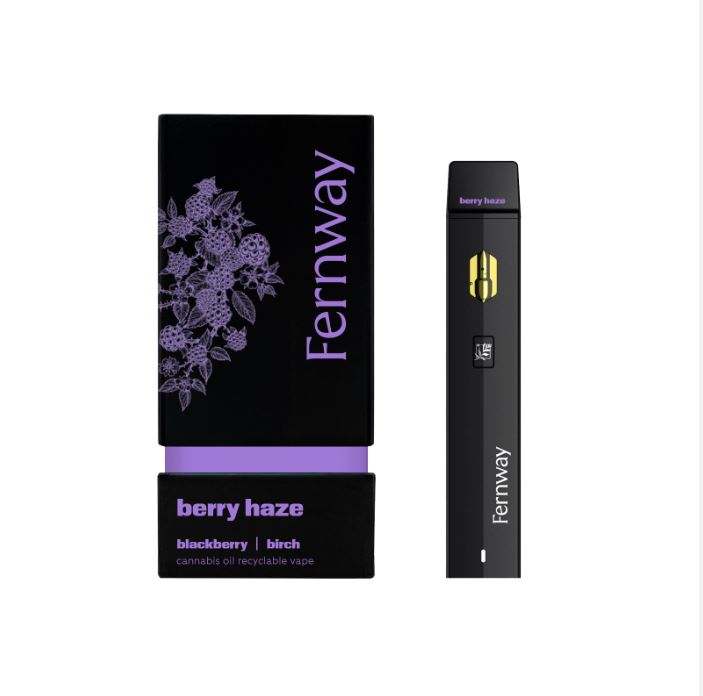 Fernway 2G Disposable Berry Haze Vape